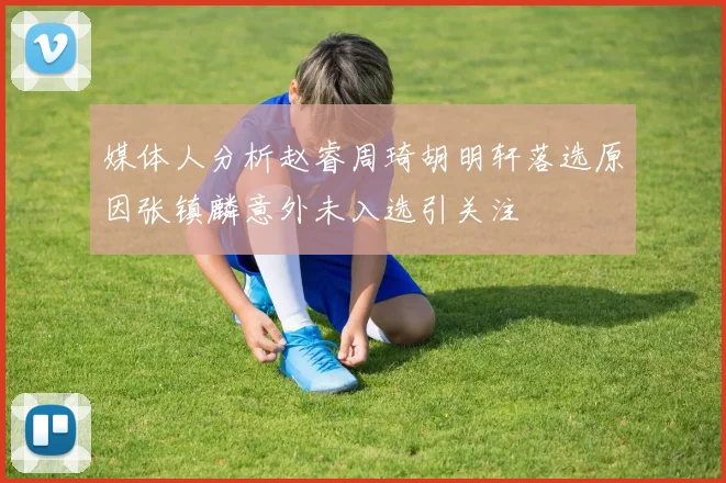 媒体人分析赵睿周琦胡明轩落选原因张镇麟意外未入选引关注